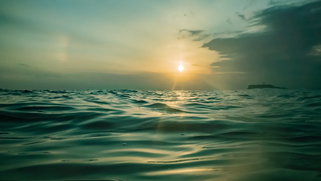 Ocean Carbon header images