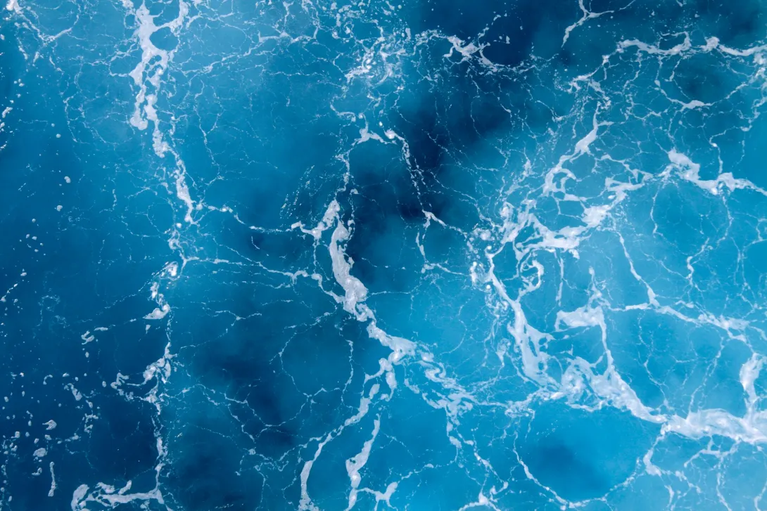 Interactive Exhibits at NOC Open Day 2025