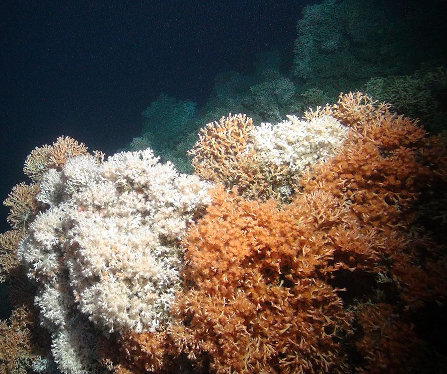 What are the key outcomes of this research?