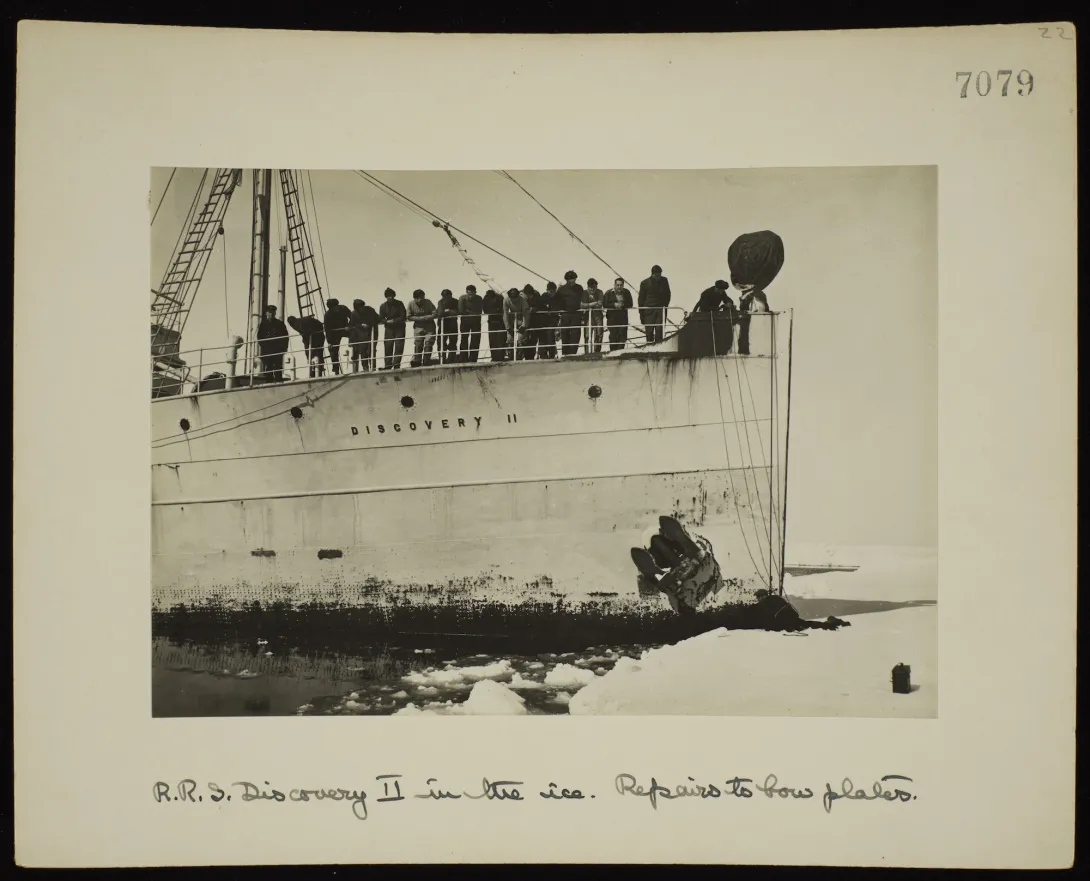RRS Discovery II in Pack Ice, Bellinghausen Sea