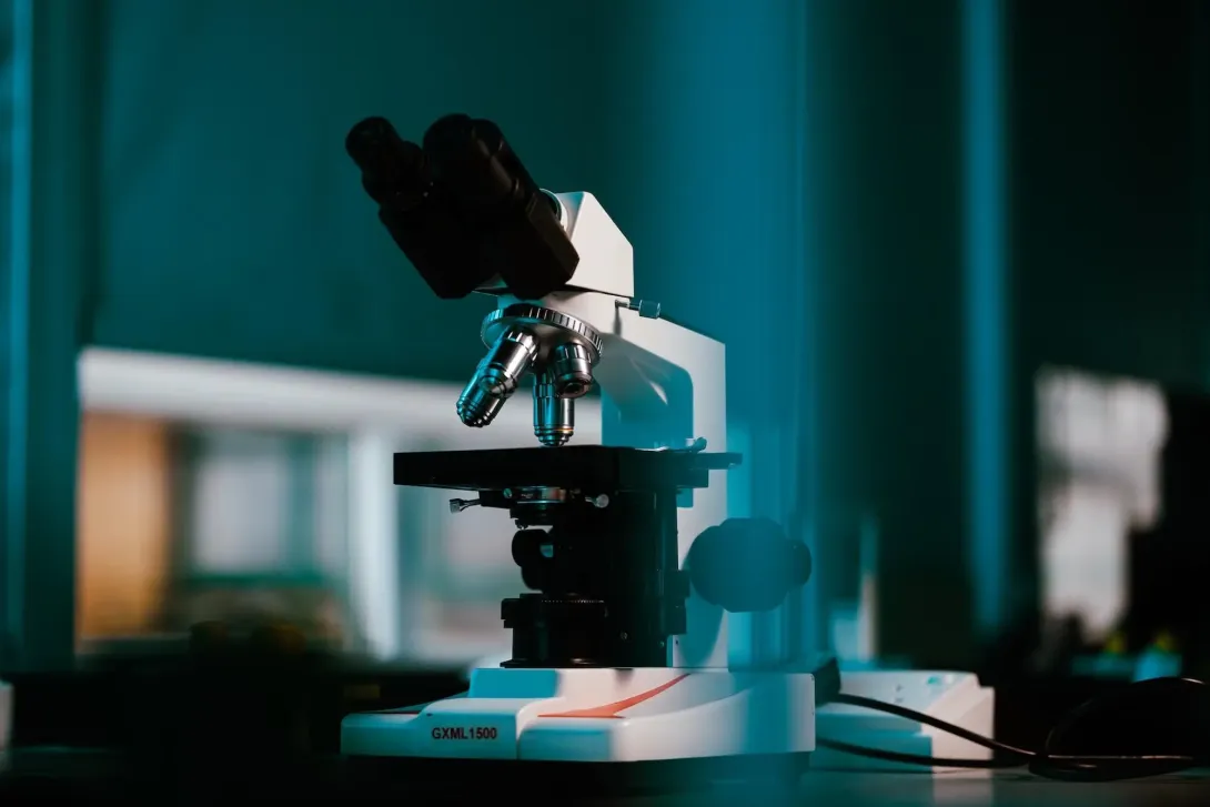 British Science Festival 2026